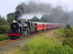 
Daffodil Express with Ja 1271, Carterton, September 2010